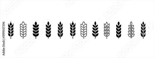 Minimalist wheat ear icons, set of 12 black cereal grain silhouettes, organic agriculture symbols for bakery branding and farm product labels