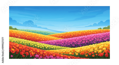 Vibrant tulip field blooms under clear blue sky with fluffy clouds.