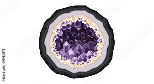 A cross-section illustration of a geode with purple crystals on a white background