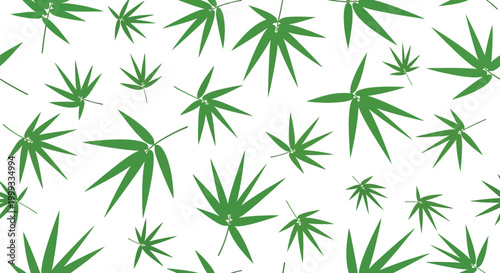 Green marijuana leaves pattern on white background