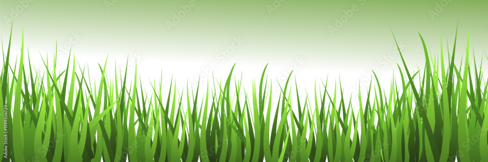 Fototapeta premium Green Grass Border Vector with Lawn, Meadow and Natural Garden Landscape Elements