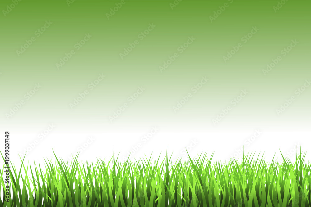 Fototapeta premium Green Grass Border Vector with Lawn, Meadow and Natural Garden Landscape Elements