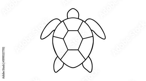 Simple line drawing of a tortoise shell design with four flippers and a head, ideal for logos and icons