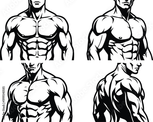 Set of black and white vector illustrations featuring muscular male torso anatomy showing chest and abdominal muscles for fitness and bodybuilding design