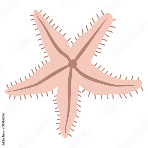 Minimalist fuzzy starfish icon with distinct texture and simple five arms in earthy beige tones. This tactile nautical element is perfect for cozy coastal branding or pattern
