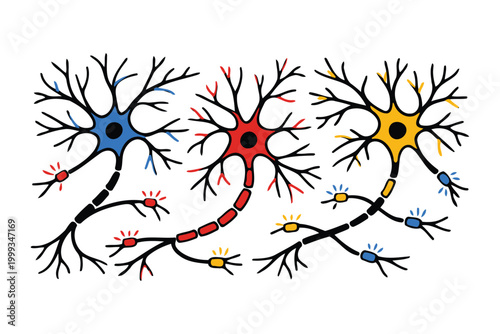 Colorful neurons connecting in a brain network illustration Vector
