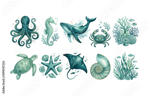 Watercolor Ocean Animals Clipart Set – Teal Sea Creatures Illustration Bundle with Octopus, Whale, Turtle, Seahorse, Manta Ray, Crab, Starfish, Nautilus, Coral and Seaweed
