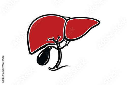 Red liver and gallbladder medical illustration vector icon Vector