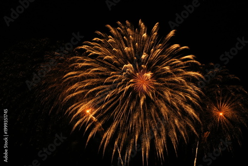 Canvastavla finale de feu d'artifice