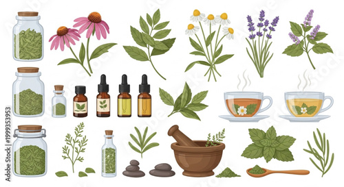 Herbal Remedy Vector Set with Medicinal Plants Leaves Oils Teas and Mortar Pestle – Organic Wellness Clipart Pack