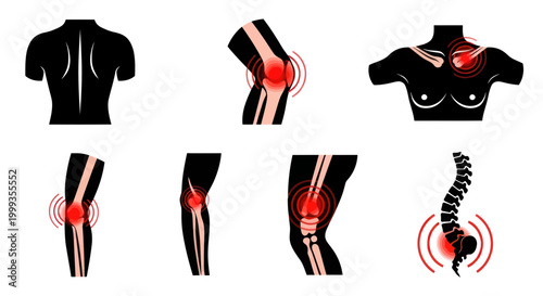 Human Body Pain Zones: Back, Knee, Shoulder, Elbow, Spine