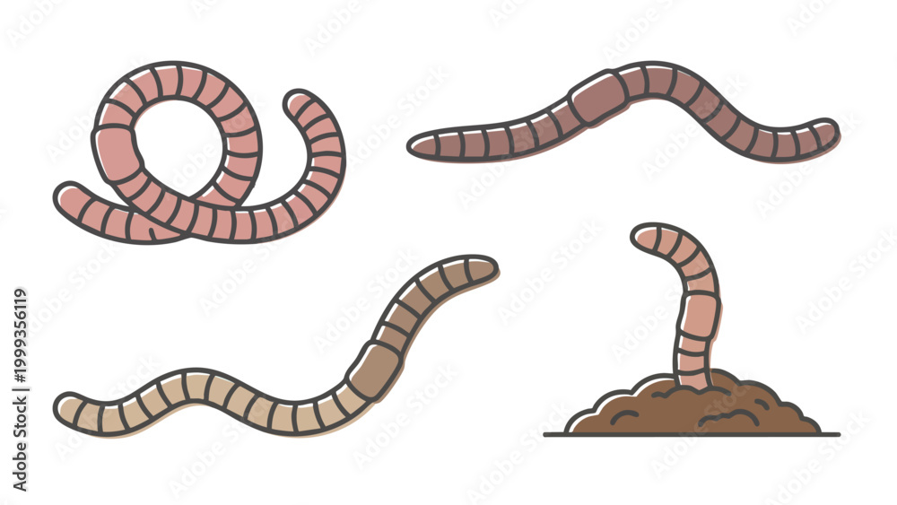 Fototapeta premium Earthworm Cartoon Vector Set Soil Worm Illustration Collection