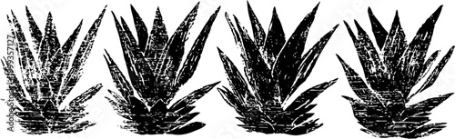 four monochrome agave plants in a row, spiky leaves, desert succulent silhouette