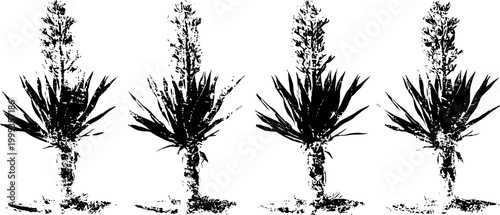 Four aloe vera plants with flowers isolated on white background botanical nature illustration