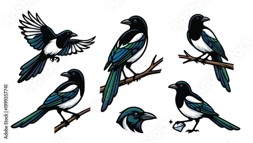 Tableau sur toile Magpie bird illustration set with branches and shiny object isolated on white ba