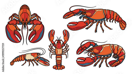 Lobster set detailed seafood crustacean illustrations isolated on white background
