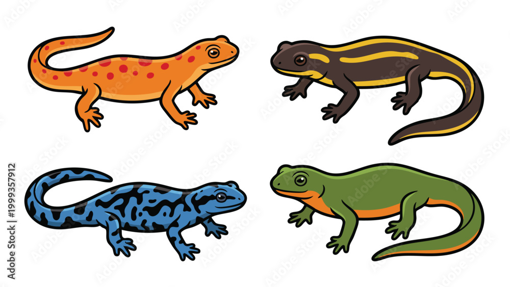Obraz premium Newt illustration set colorful amphibians isolated on white background