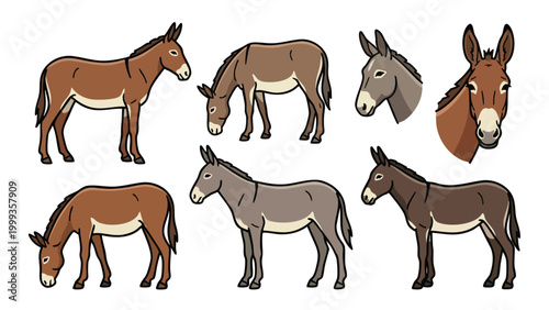 Mule illustration set farm animal isolated on white background