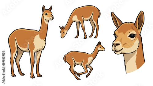 Vicuna Character Set in Various Poses and Actions