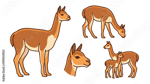 Vicuna Character Set with Grazing and Baby Vicuna Poses