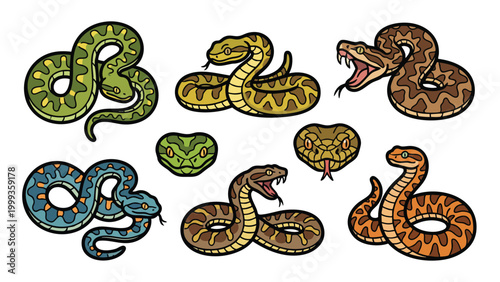 Tableau sur toile Various Viper Snake Species Vector Character Set