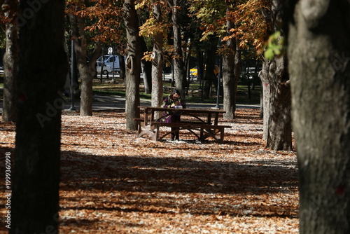 People walking on the forest path include elderly people and young people walking their dogs.