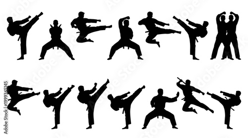 Martial Arts Silhouette Icons: Karate, Kung Fu, Taekwondo Poses