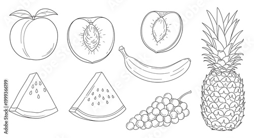 Line Art Fresh Fruits.