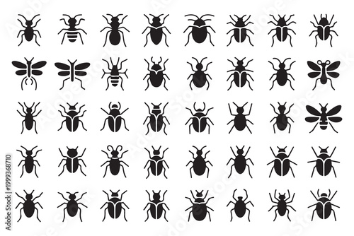 Set of various insect and bug silhouette icons, solid black vector illustrations on white background