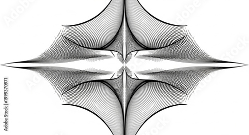 Intricate Abstract Geometric Pattern Design Black and White.