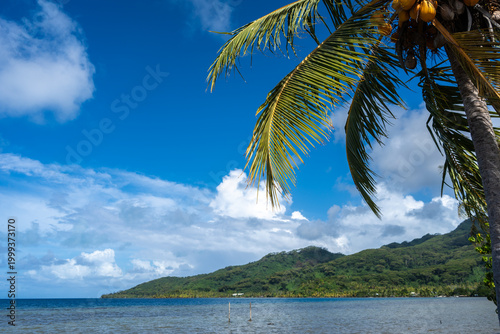 Foto Coastline and Mountains on Tahaa Island, French Polynesia