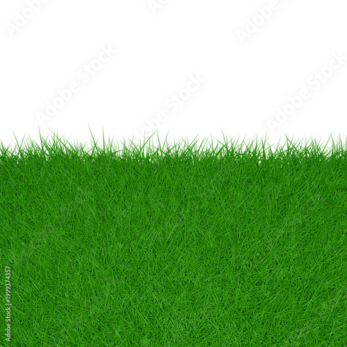 Close-up of green grass field with black background space. Front view of lush green lawn border, 3D rendering. Fresh green grass isolated on black, low angle view.