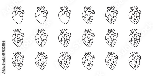 Anatomical human heart line icon set for medical education and healthcare cardiology on transparent backdrop.