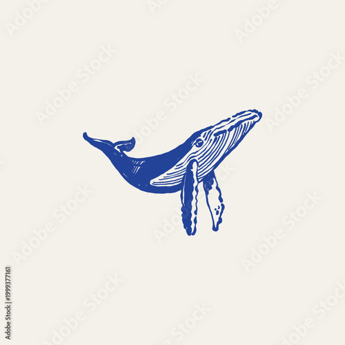 Ocean and sea-themed vector illustrations. Includes waves, marine animals, shells, boats, and underwater elements. Perfect for summer designs and nature projects.