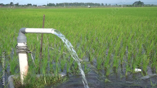 Irrigation of rice fields using pump wells with the technique of pumping water from the ground to flow into the rice fields. The pumping station where water is pumped from a irrigation canal system.