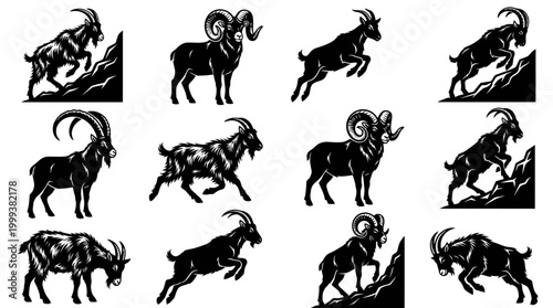 Wildlife Animals: Black and White Goats and Rams Engraving Vector Set