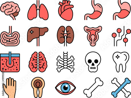 Collection of stylized medical and anatomical icons representing human organs and body parts