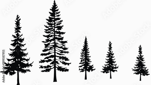 Coniferous evergreen tree silhouettes in varying sizes against a white background