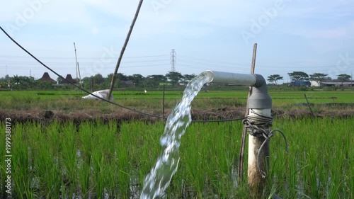 Irrigation of rice fields using pump wells with the technique of pumping water from the ground to flow into the rice fields. The pumping station where water is pumped from a irrigation canal system.