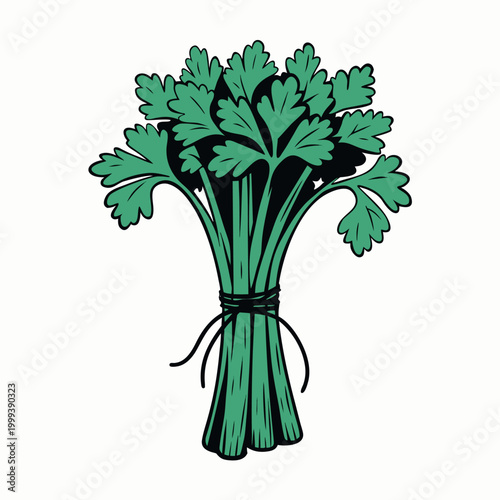 A flat vector illustration of a fresh bundle of green herbs tied together, with layered leaves in a clean modern style.