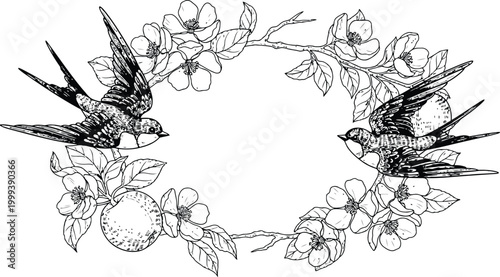 Two Barn Swallows perched on blooming branches with fruit in a circular frame during springtime