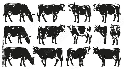Monochrome Cattle Cow Silhouettes Vector Set for Agriculture and Livestock Industry
