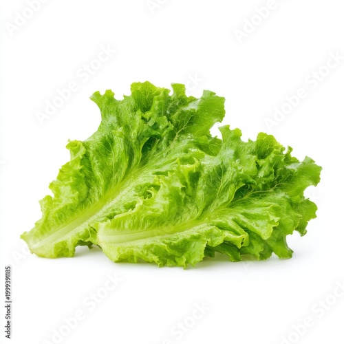 Fresh Green Lettuce Leaves Perfect for Healthy Salads and Culinary Dishes, Isolated on White Background