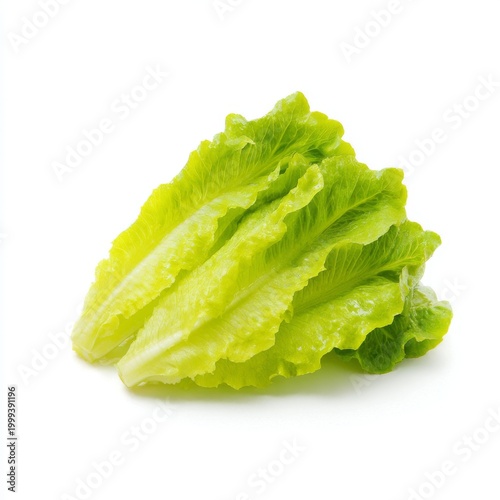 Fresh Romaine Lettuce Isolated on White Background Perfect for Healthy Cooking and Salad Preparation