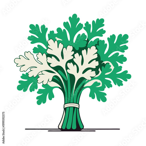 A flat vector illustration of a fresh bundle of green herbs tied together, with layered leaves in a clean modern style.