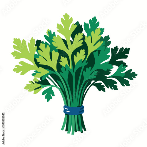 A flat vector illustration of a fresh bundle of green herbs tied together, with layered leaves in a clean modern style.