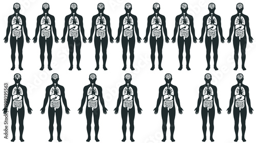 Black and White Human Anatomy Diagram, Medical Illustration, Silhouette