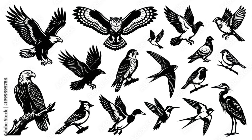 Fototapeta premium Diverse Wildlife Birds Collection Black and White Line Art Vector Illustration Set