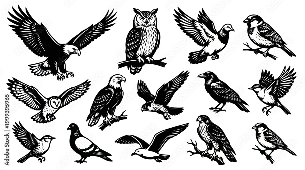 Fototapeta premium Vintage Engraving Style Birds Vector Illustration Set - Wildlife Nature Animals Black and White Art