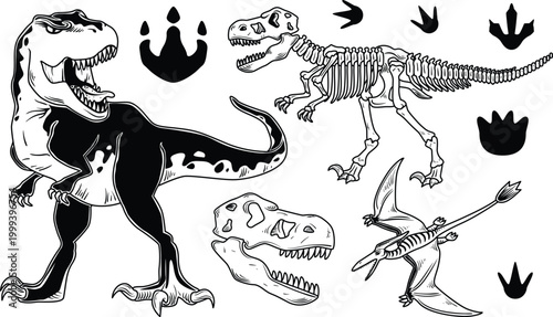 Antique style dinosaur bone set including predator skulls and extinct species vector
